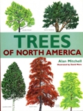 TREES OF NORTH AMERICA
